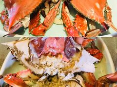 -浩运·海鲜青岛菜·海胆水饺(石老人店)