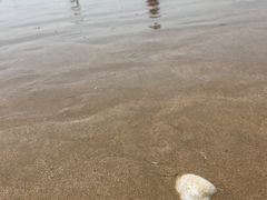 -马銮湾景区