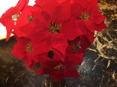 -扬州喜满客国际影城(京华城店)