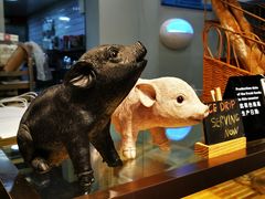 -WHEN PIGS FLY当猪飞