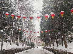 -四明山国家森林公园
