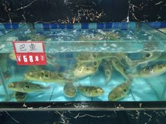 -吉源大排档·鱼生·海鲜(烧烤彩印厂店)