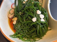 -蒙料·手把肉(望京店)