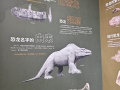 -衢州市博物馆