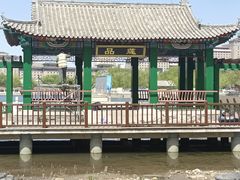 -莲花池公园
