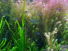 -上海海洋水族馆