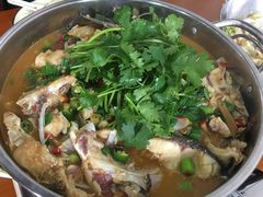 -全乐鱼馆·淳牌有机鱼直营店