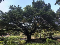 -晓港公园