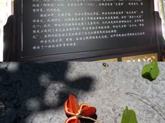 -柳侯公园