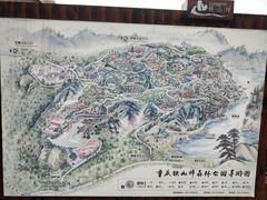 -铁山坪森林公园