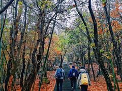 -南京市无想山景区