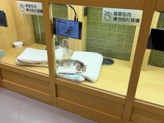 -首开·龙湖成都西宸天街