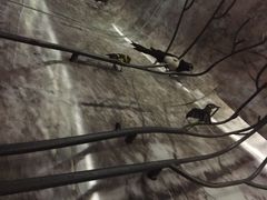 杭州逸酒店-杭州逸设计师酒店(武林广场店)