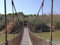 -上海吴淞炮台湾国家湿地公园
