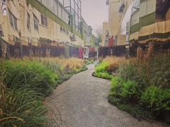 -五观堂素食(新华路店)