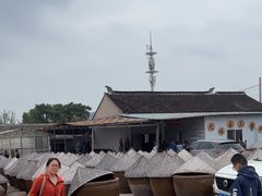 -苏州市吴中区光福窑上花果蜜饯厂