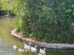 -上海交通大学(闵行校区)