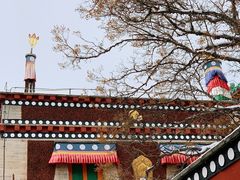 -塔尔寺-菩提树