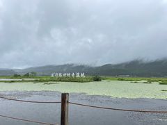 -腾冲北海湿地