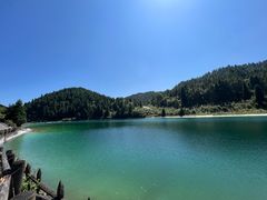 -武陵山森林公园