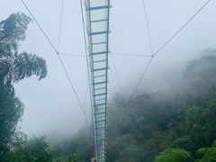 -藏龙百瀑风景区