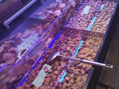 -盛江山自助料理(奥莱锦辉购物广场店)