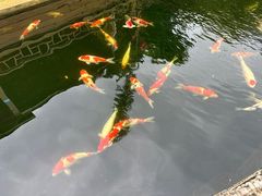 -香麒园·过桥米线·南湖雅宴
