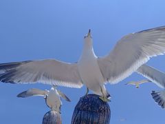-大连老虎滩海洋公园