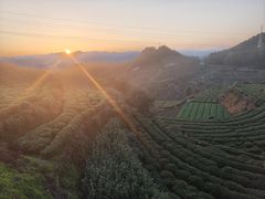 -杨家堂村