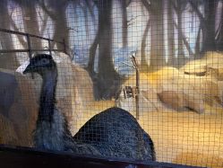 -酷嗒动物文化乐园(cutezoo西溪乐天城店)