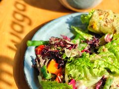 -Wagas沃歌斯(大学路店)