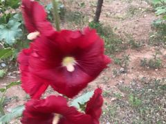 -北市万盛购物广场