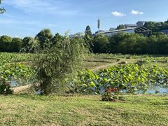 -贵阳市花溪国家城市湿地公园