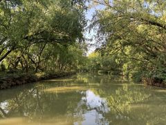 -大湾区中央湿地公园