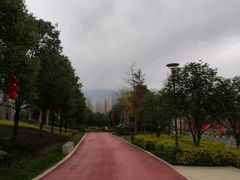 -光明港公园