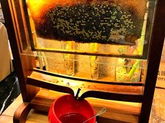 -白虎自助餐厅·真老虎·景观自助餐厅(广州长隆酒店)
