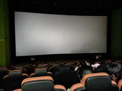 -天幕新彩云国际影城(激光巨幕店)