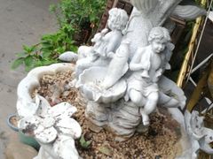 -南山植物园