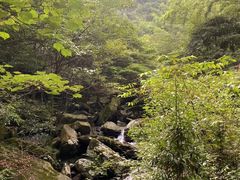 -紫鹊界梯田景区