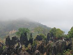 -玉石林风景区