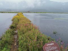 -腾冲北海湿地