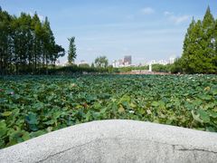 -黄兴公园