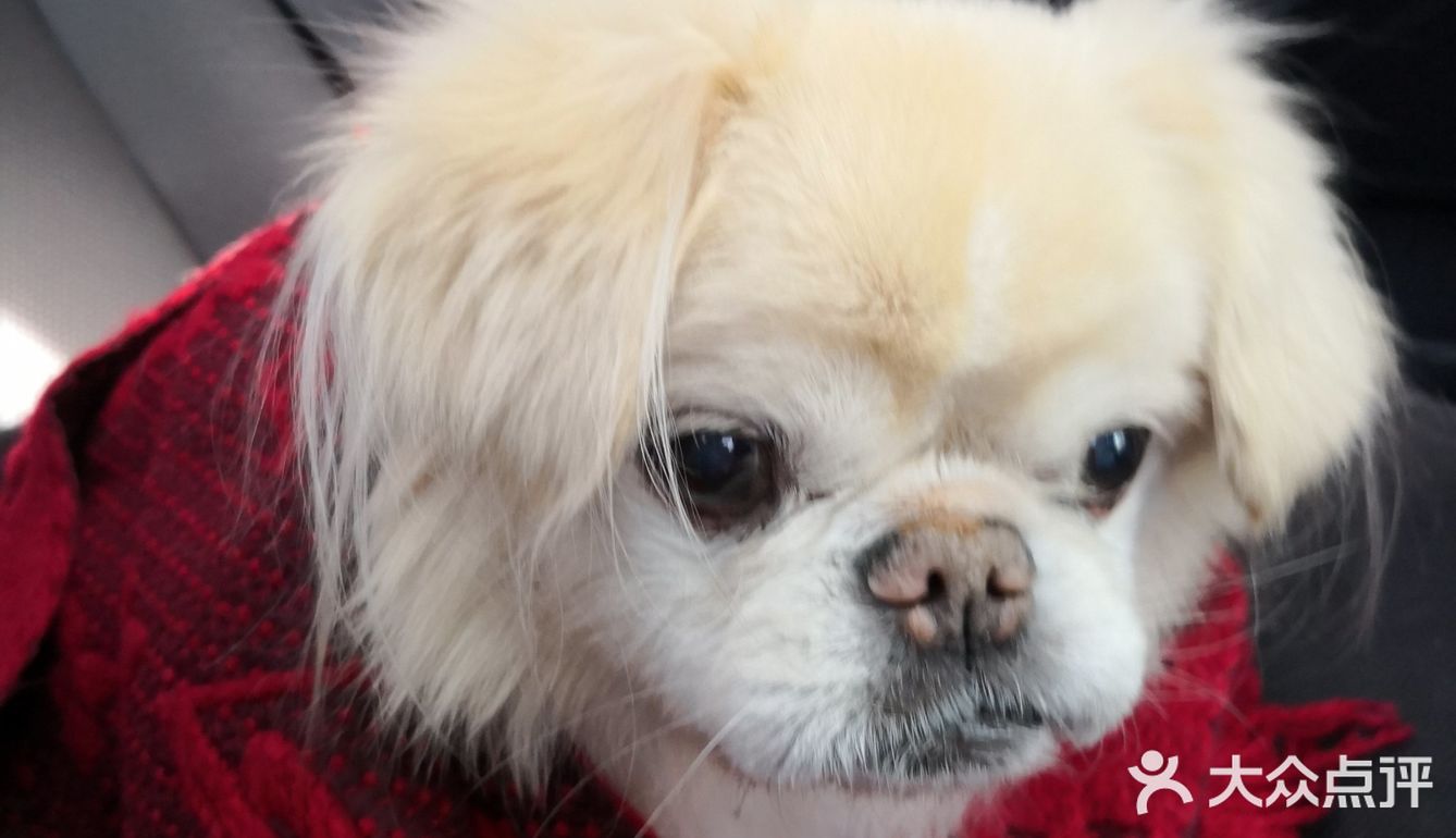 乒小乓,你想姐姐了吗?