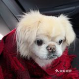 乒小乓,你想姐姐了吗?