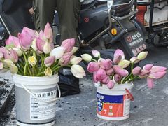 -东关回民小吃一条街(颍河西路店)