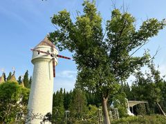 -东平国家森林公园