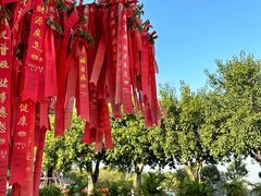 -广州莲花山旅游区