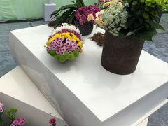 -上海鲜花港