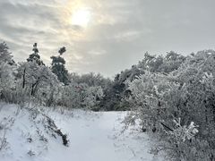 -大围山国家森林公园