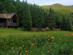 -武陵山森林公园